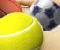 Ma Balls - Sportowe Gra