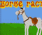 Horse Racin -  Sportowe Gra