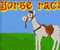 Horse Racin - Sportowe Gra