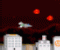 Night Raptor - Gry akcji Gra