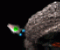 FlashWars - Gry akcji Gra