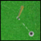 Amazing Golf - Sportowe Gra