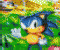 Ultimate Sonic Quiz -  Logiczne Gra