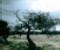 Before The Storm - Logiczne Gra