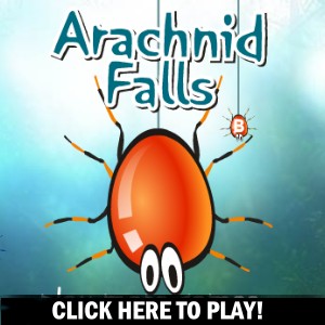 Arachnid Falls -  Gry akcji Gra